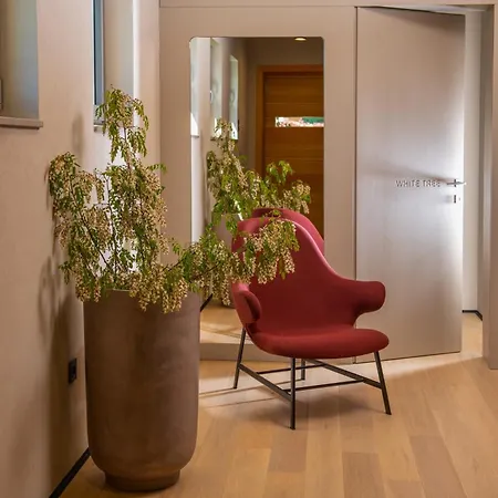 Casa Arbor Blanco Villa Fažana